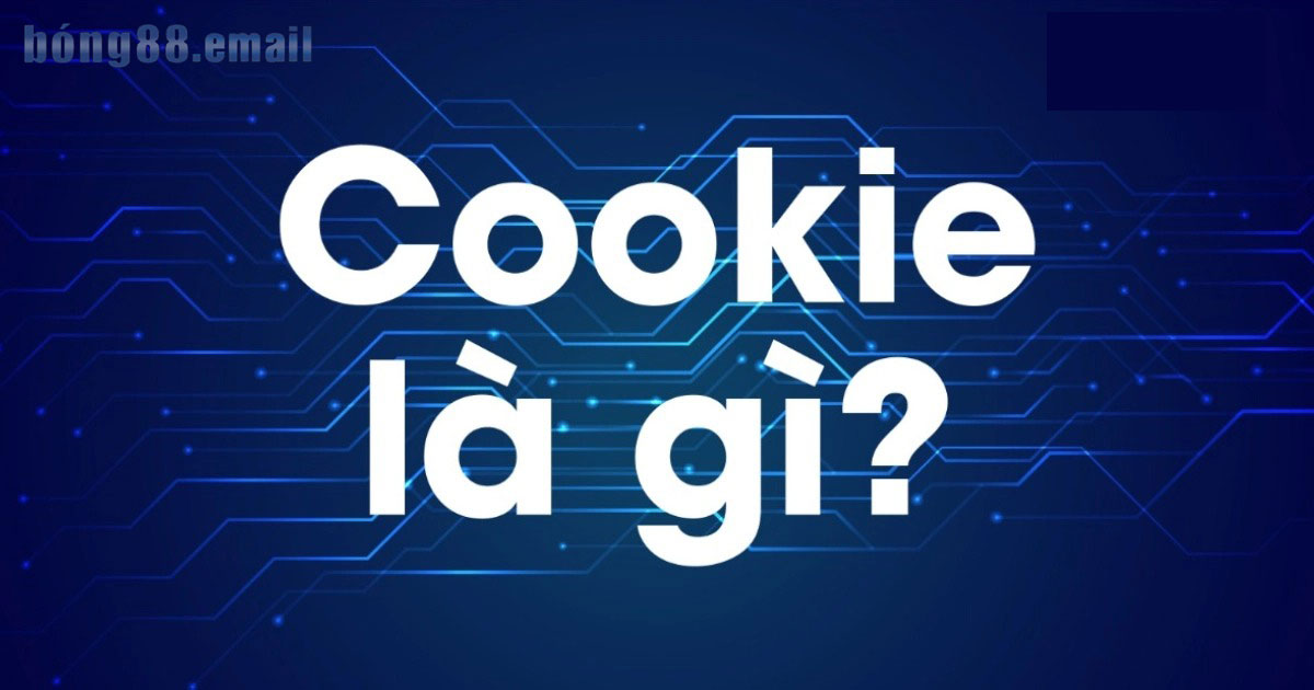 Chính sách cookies Bong88 được hiểu là gì?